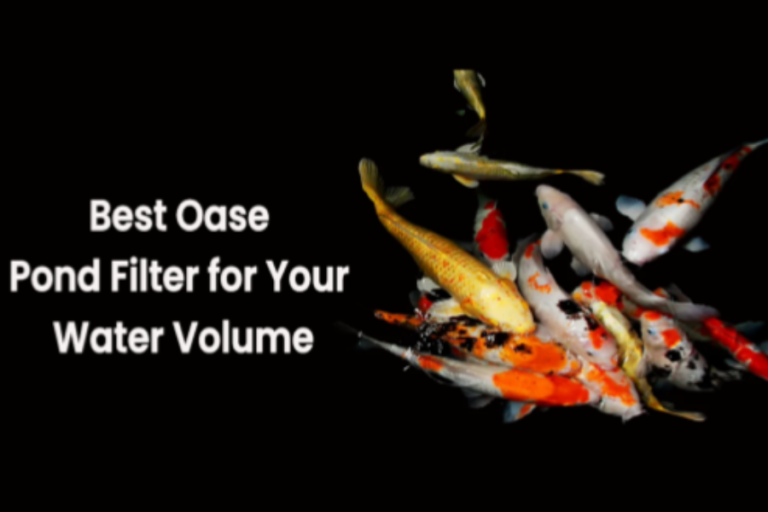 What Is the Best Oase Pond Filter for Your Water Volume?