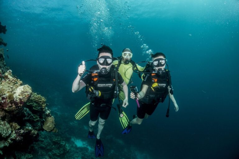 Maldives Diving